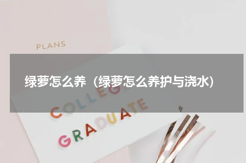 绿萝怎么养（绿萝怎么养护与浇水）