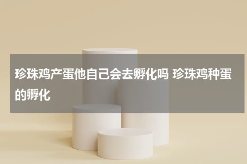 珍珠鸡产蛋他自己会去孵化吗 珍珠鸡种蛋的孵化