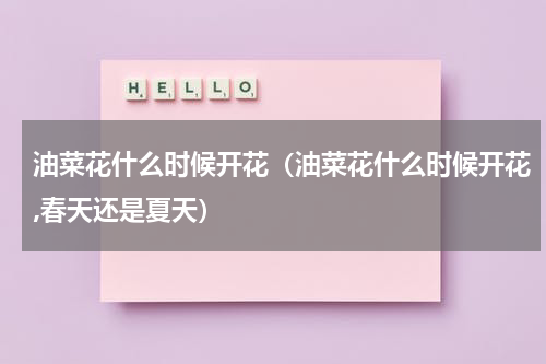 油菜花什么时候开花（油菜花什么时候开花,春天还是夏天）