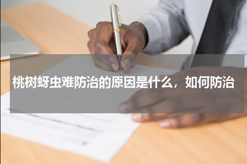 桃树蚜虫难防治的原因是什么，如何防治