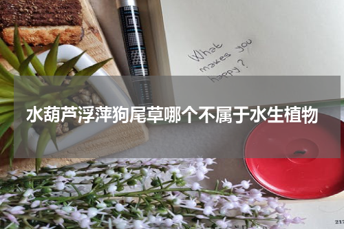 水葫芦浮萍狗尾草哪个不属于水生植物