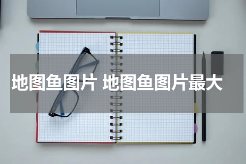 地图鱼图片 地图鱼图片最大