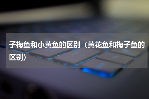 子梅鱼和小黄鱼的区别（黄花鱼和梅子鱼的区别）