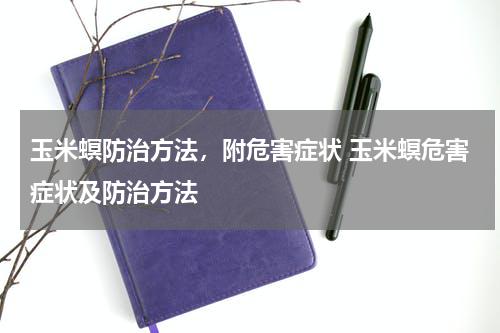 玉米螟防治方法，附危害症状 玉米螟危害症状及防治方法