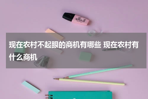 现在农村不起眼的商机有哪些 现在农村有什么商机