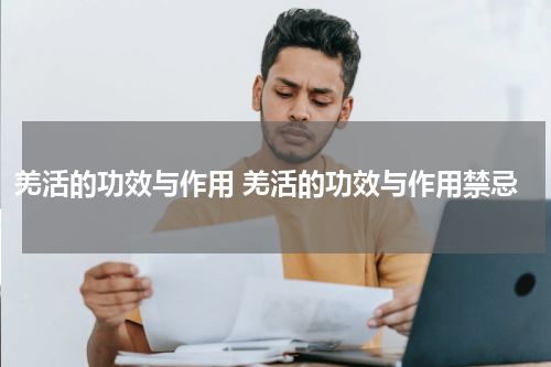 羌活的功效与作用 羌活的功效与作用禁忌