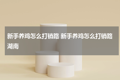 新手养鸡怎么打销路 新手养鸡怎么打销路湖南
