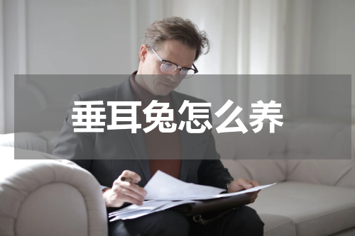 垂耳兔怎么养
