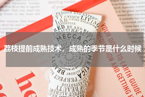 荔枝提前成熟技术，成熟的季节是什么时候