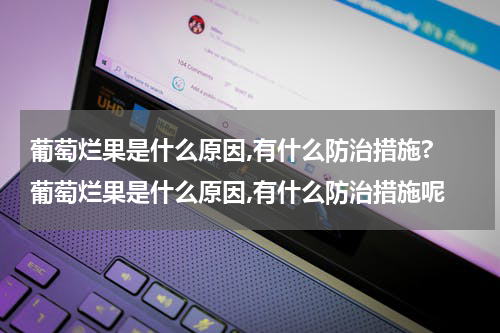 葡萄烂果是什么原因,有什么防治措施? 葡萄烂果是什么原因,有什么防治措施呢