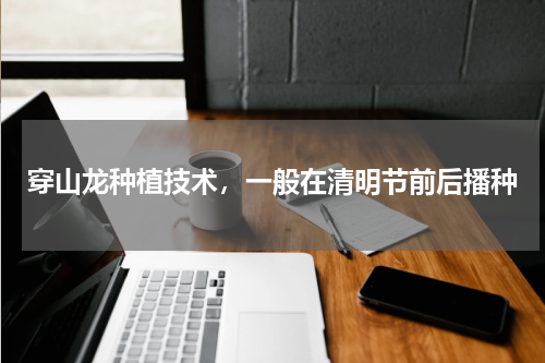穿山龙种植技术，一般在清明节前后播种