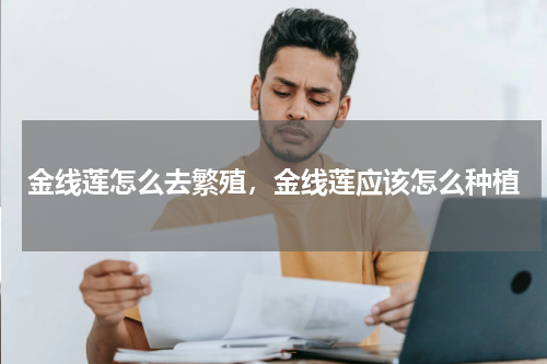 金线莲怎么去繁殖，金线莲应该怎么种植