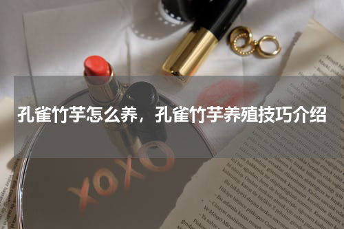 孔雀竹芋怎么养，孔雀竹芋养殖技巧介绍