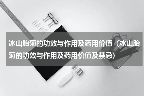 冰山胎菊的功效与作用及药用价值（冰山胎菊的功效与作用及药用价值及禁忌）