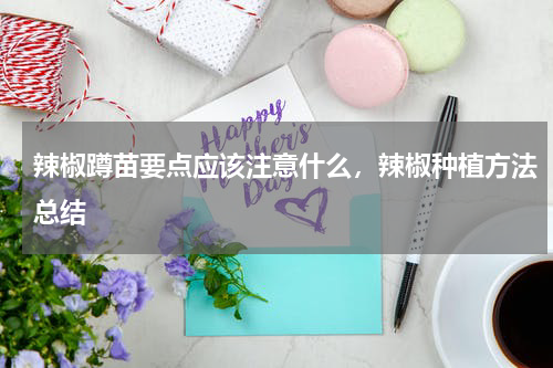 辣椒蹲苗要点应该注意什么，辣椒种植方法总结