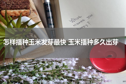怎样播种玉米发芽最快 玉米播种多久出芽