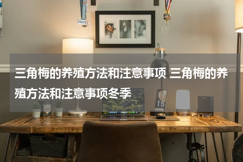 三角梅的养殖方法和注意事项 三角梅的养殖方法和注意事项冬季