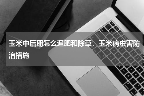 玉米中后期怎么追肥和除草，玉米病虫害防治措施
