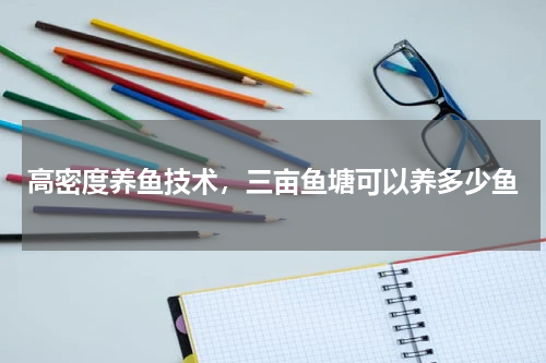 高密度养鱼技术，三亩鱼塘可以养多少鱼