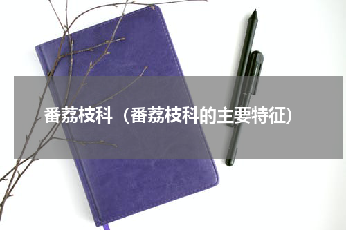 番荔枝科（番荔枝科的主要特征）