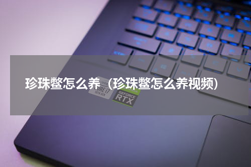 珍珠鳖怎么养（珍珠鳖怎么养视频）