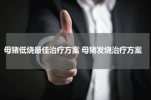 母猪低烧最佳治疗方案 母猪发烧治疗方案