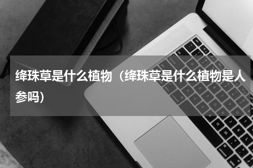 绛珠草是什么植物（绛珠草是什么植物是人参吗）