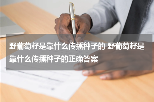 野葡萄籽是靠什么传播种子的 野葡萄籽是靠什么传播种子的正确答案