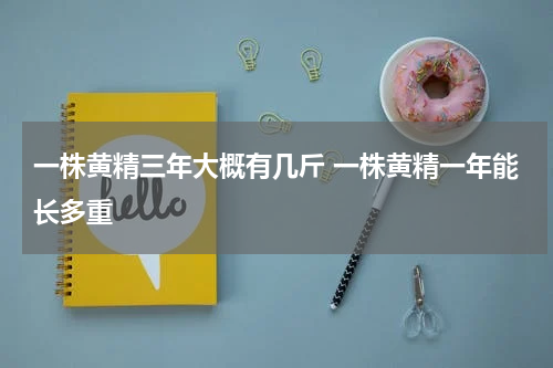 一株黄精三年大概有几斤 一株黄精一年能长多重