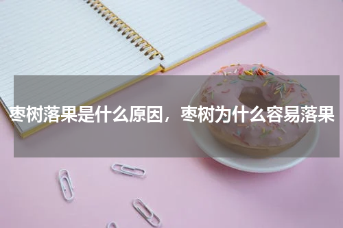 枣树落果是什么原因，枣树为什么容易落果