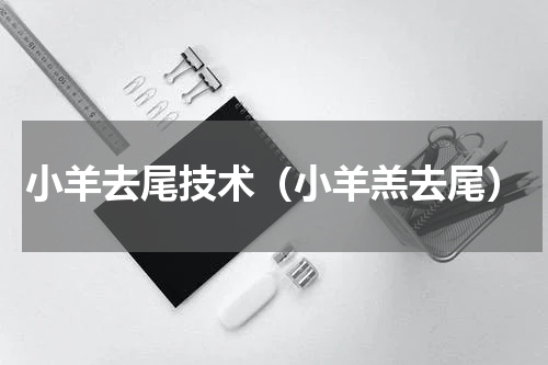 小羊去尾技术（小羊羔去尾）