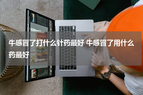 牛感冒了打什么针药最好 牛感冒了用什么药最好