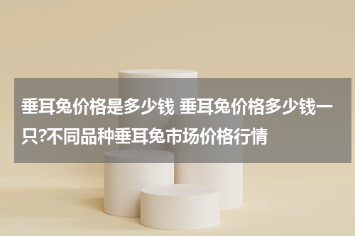 垂耳兔价格是多少钱 垂耳兔价格多少钱一只?不同品种垂耳兔市场价格行情