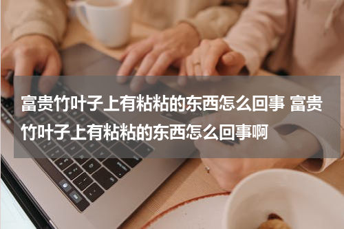 富贵竹叶子上有粘粘的东西怎么回事 富贵竹叶子上有粘粘的东西怎么回事啊