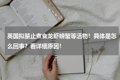 英国拟禁止煮食龙虾螃蟹等活物！具体是怎么回事？看详细原因！