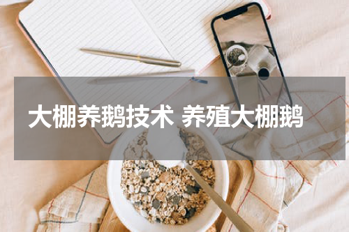 大棚养鹅技术 养殖大棚鹅