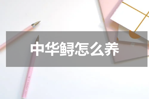 中华鲟怎么养