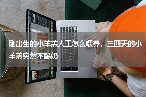 刚出生的小羊羔人工怎么喂养，三四天的小羊羔突然不喝奶