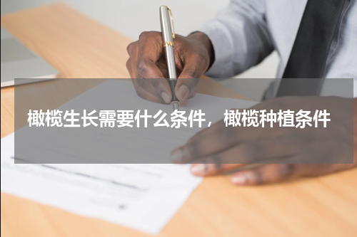 橄榄生长需要什么条件，橄榄种植条件