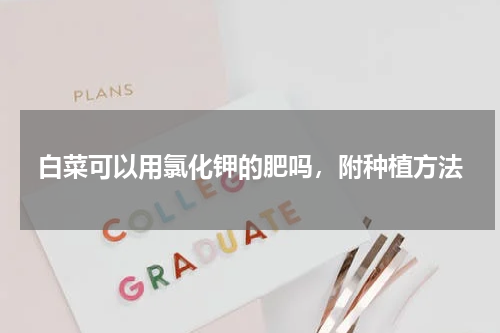 白菜可以用氯化钾的肥吗，附种植方法