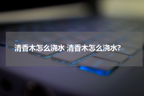 清香木怎么浇水 清香木怎么浇水?