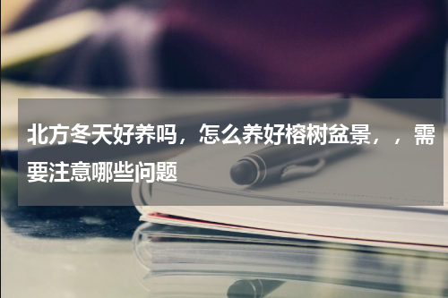 北方冬天好养吗，怎么养好榕树盆景，，需要注意哪些问题