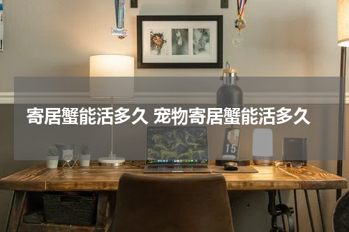 寄居蟹能活多久 宠物寄居蟹能活多久
