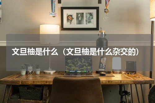 文旦柚是什么（文旦柚是什么杂交的）