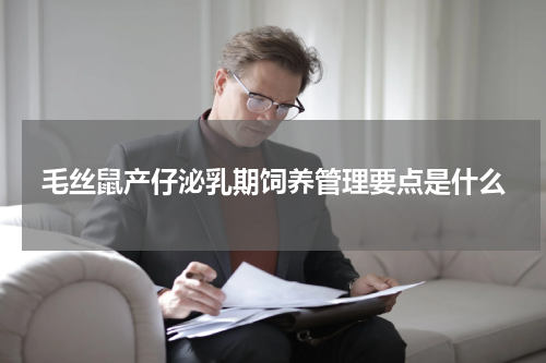 毛丝鼠产仔泌乳期饲养管理要点是什么