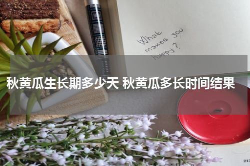 秋黄瓜生长期多少天 秋黄瓜多长时间结果