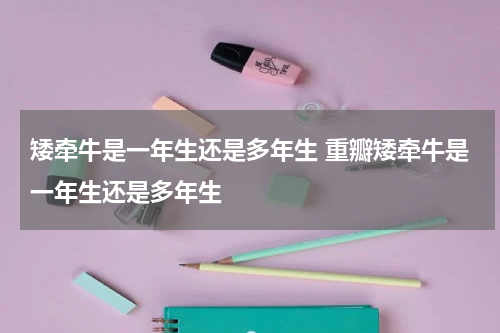 矮牵牛是一年生还是多年生 重瓣矮牵牛是一年生还是多年生