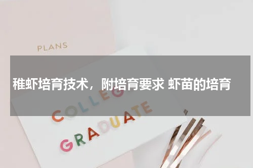 稚虾培育技术，附培育要求 虾苗的培育