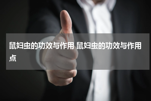 鼠妇虫的功效与作用 鼠妇虫的功效与作用点