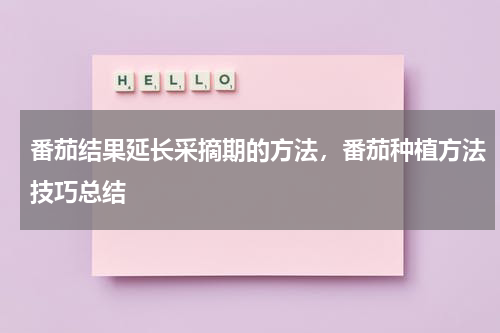 番茄结果延长采摘期的方法，番茄种植方法技巧总结